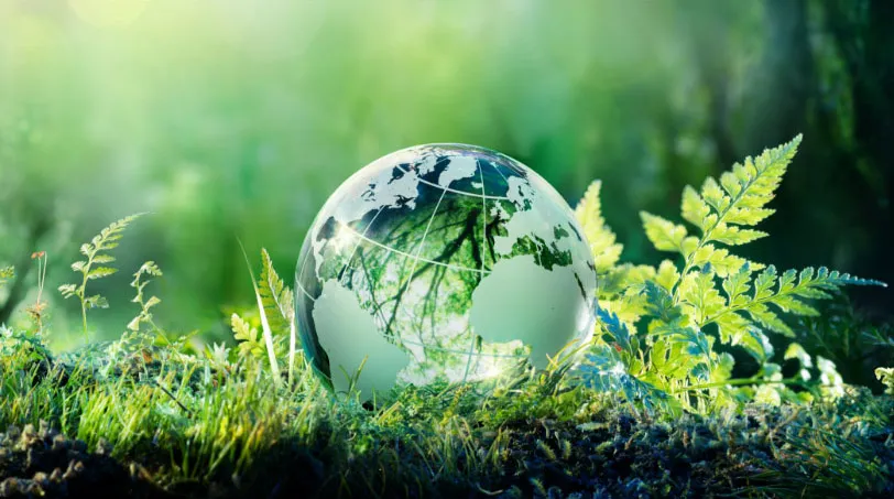 model of globe resting in greenery